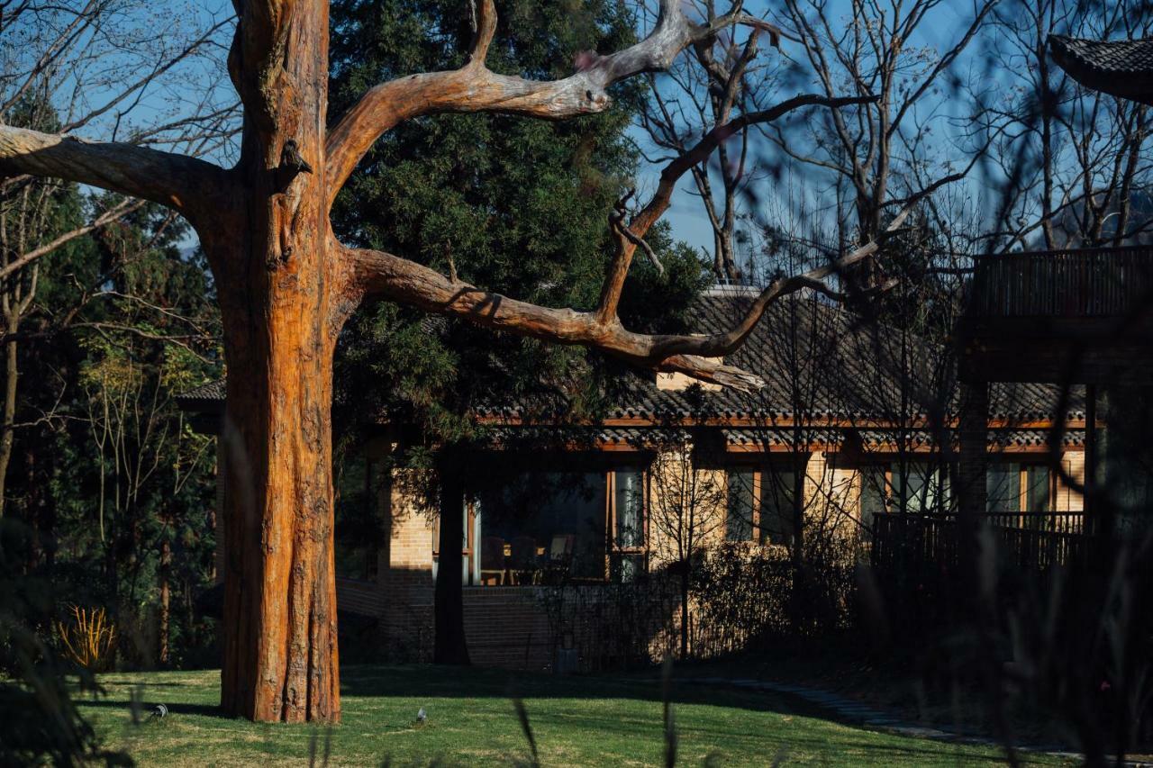 Zishan Eco Resort Zhangjiajie Zewnętrze zdjęcie